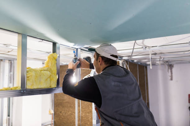 Best Pipe and Duct Insulation  in Folsom, PA