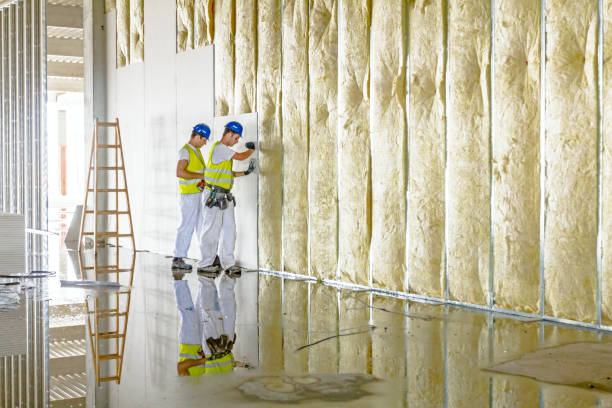 Best Spray Foam Insulation  in Folsom, PA